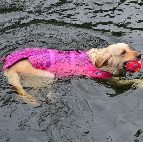 Outdoor Life Jackets Pet Swimming Clothes - Majestic Pet Kingdom