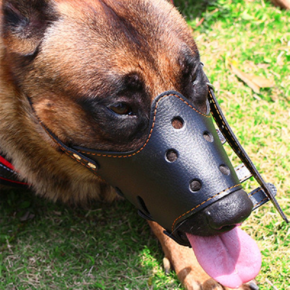 Small Dog Large Muzzle Adjustable Bite Proof Ergonomic Walking Harness | Majestic Pet Kingdom™