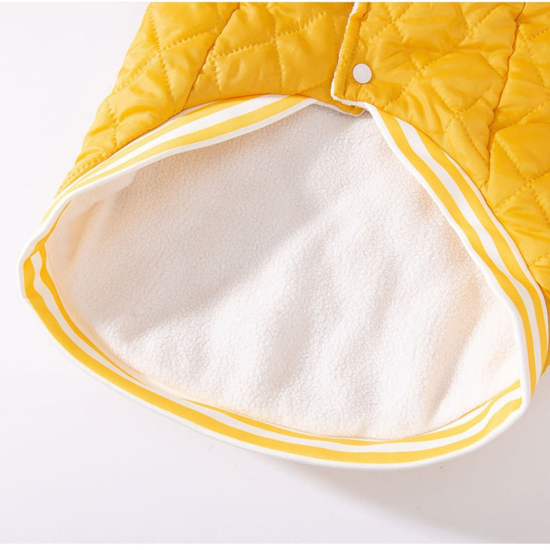 Pet Product - Premium Pet Accessory
