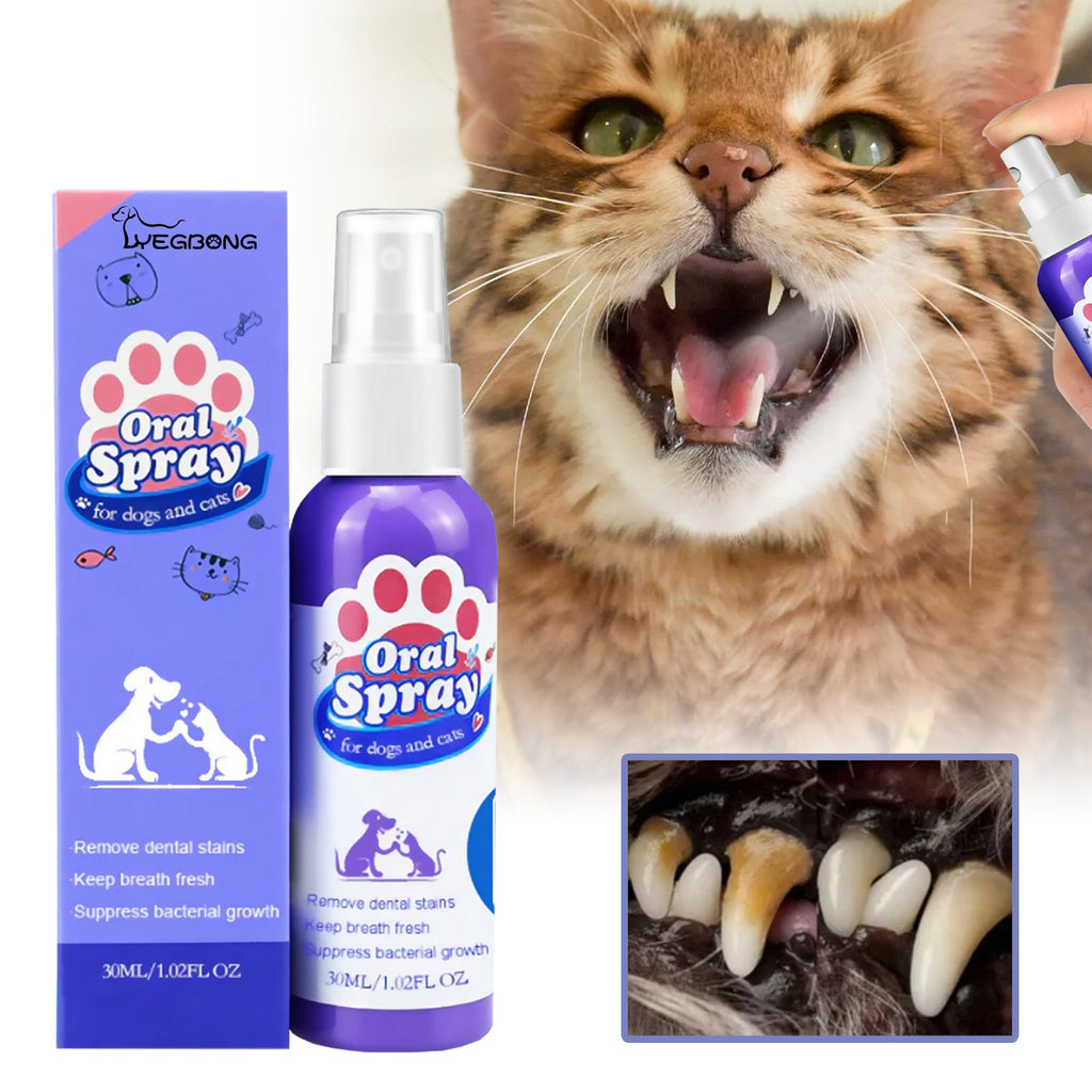Pet Tooth Cleaning Spray: Oral Care Stain & Plaque Remover