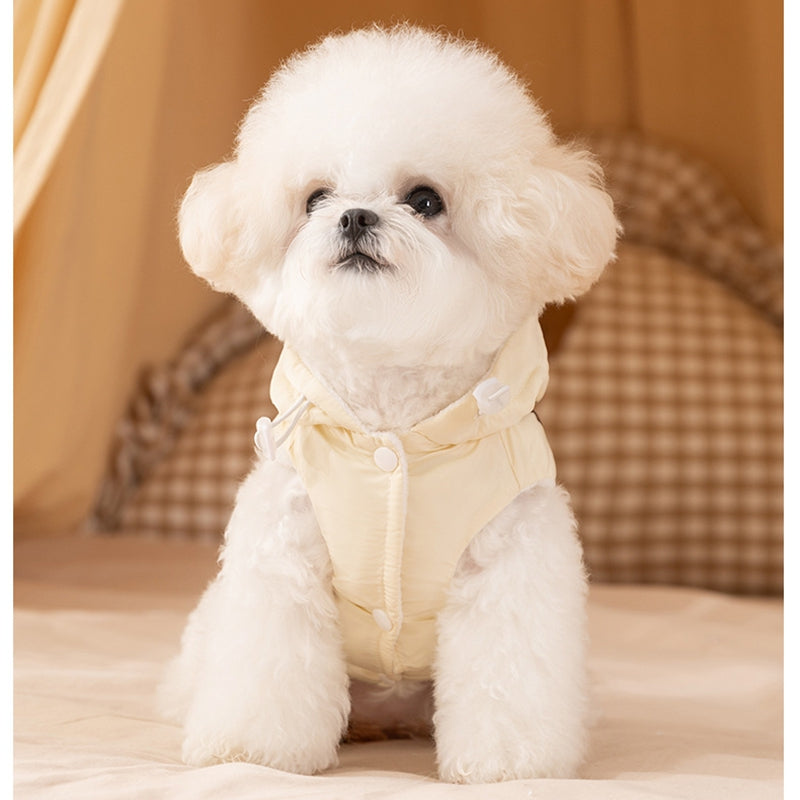 Pet Product - Premium Pet Accessory