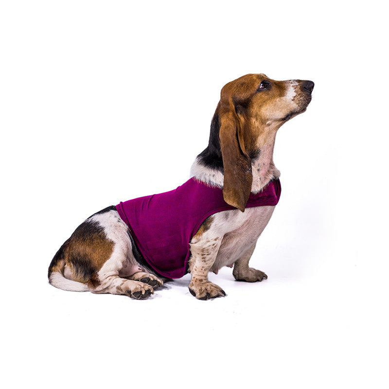 Pet dog anxiety comfort clothing - Majestic Pet Kingdom