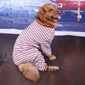 Pet dog clothes medium and large dogs - Majestic Pet Kingdom