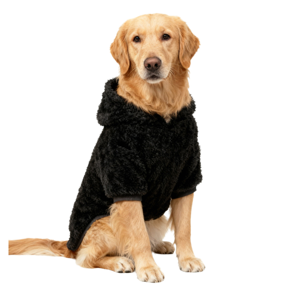 Pet Product - Premium Pet Accessory