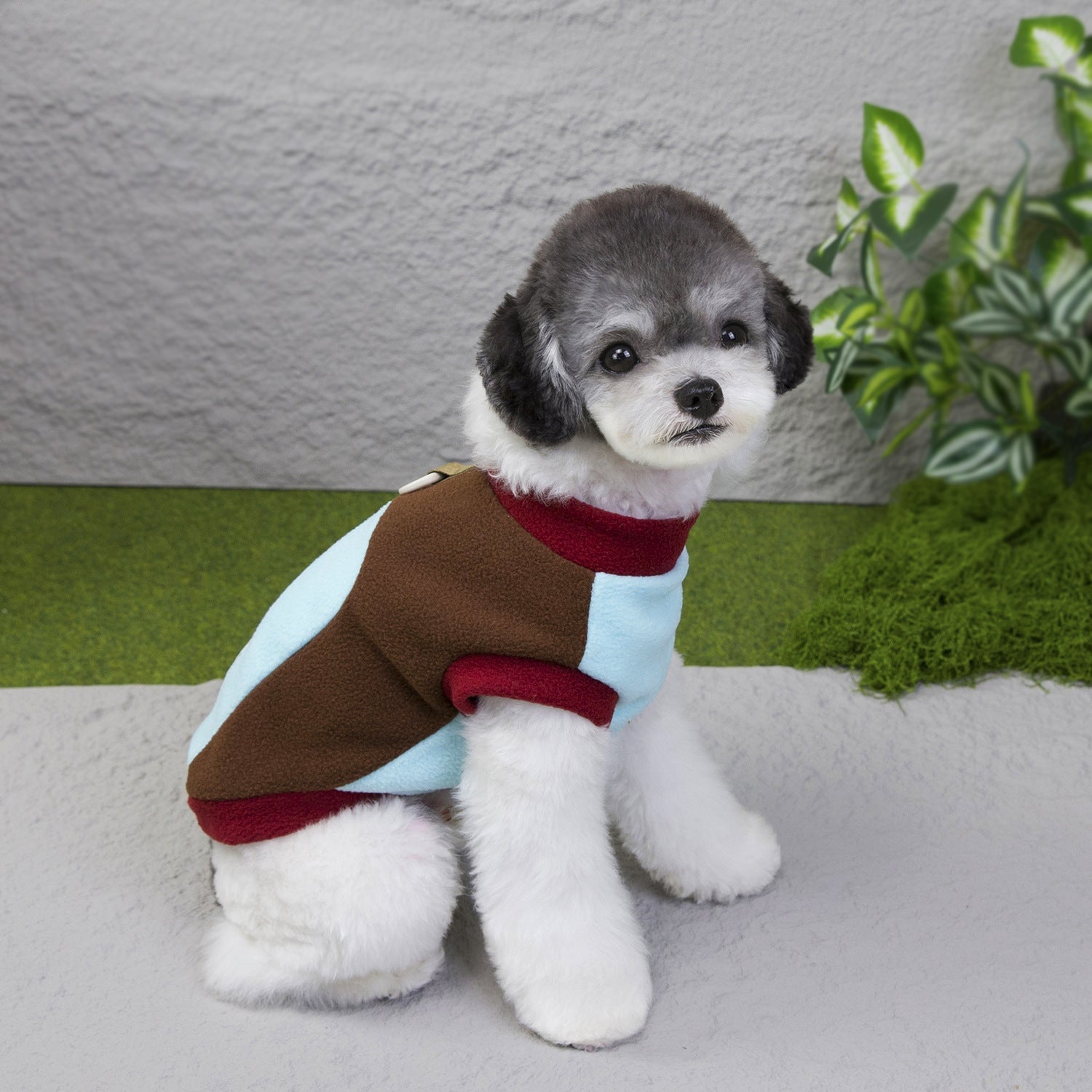 Pet Product - Premium Pet Accessory