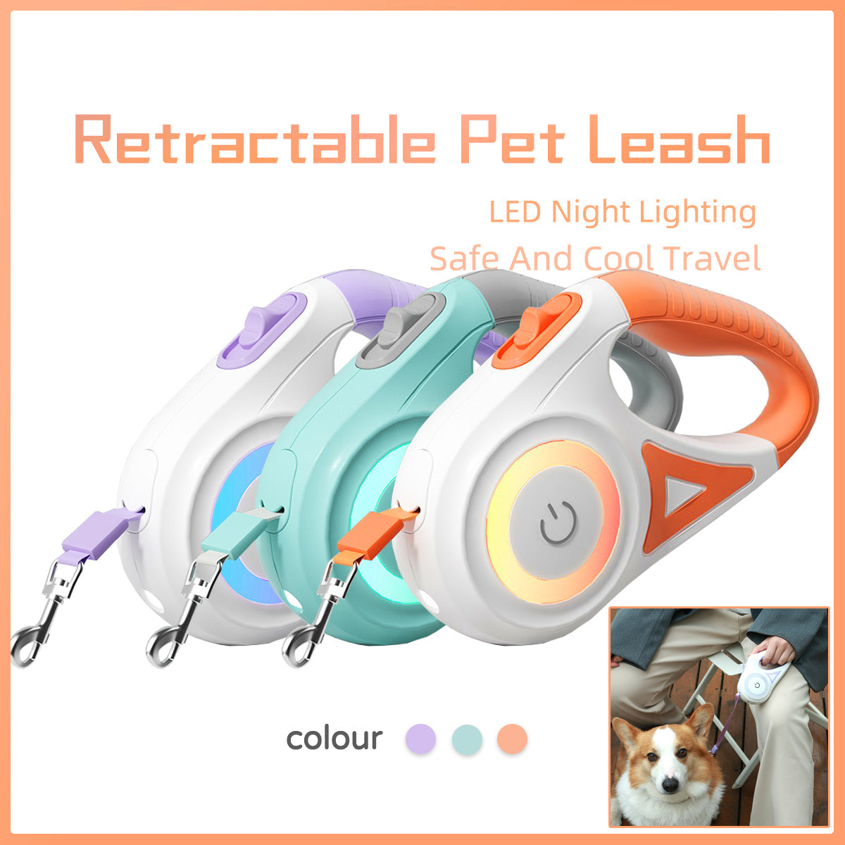 Luxury Pet Essentials - Purrfect Pet Kingdom™