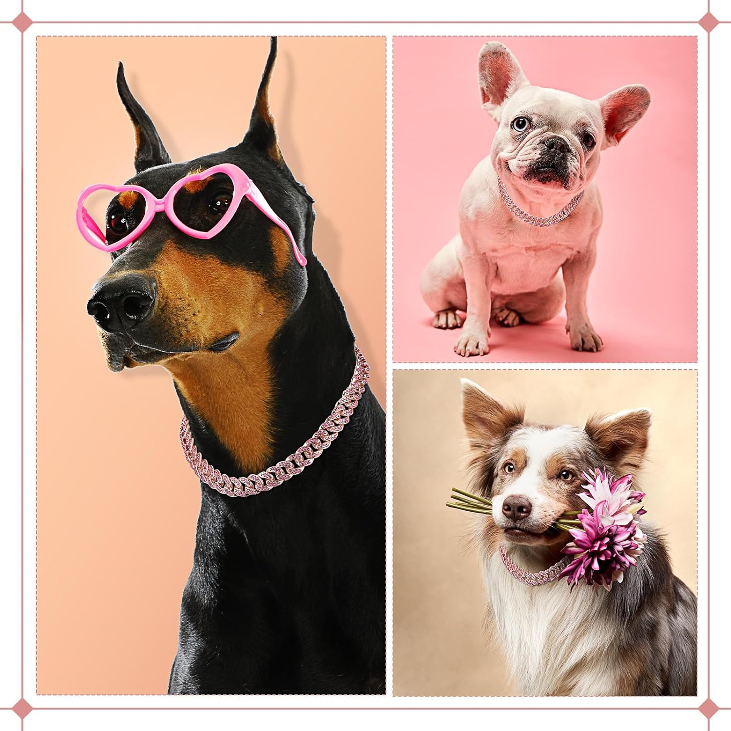 Luxury Pet Essentials - Purrfect Pet Kingdom™
