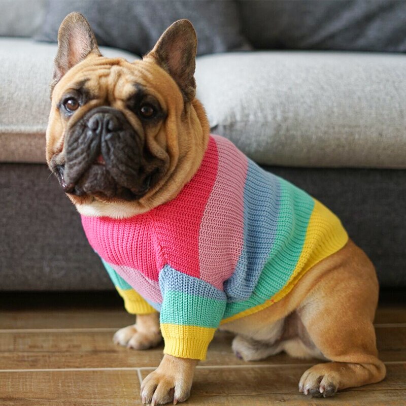 Rainbow Dog Sweater - Majestic Pet Kingdom