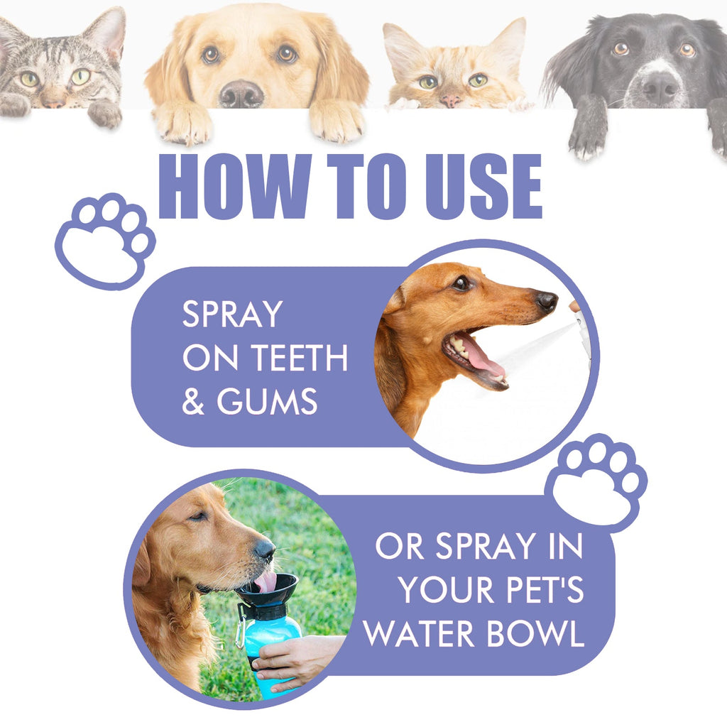 Pet Tooth Cleaning Spray: Oral Care Stain & Plaque Remover
