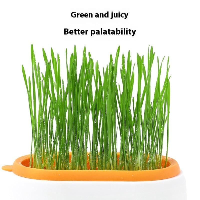 Lazy Soil-free Hydroponic Planting Wheat Seed Cultivation Cat Grass Basin