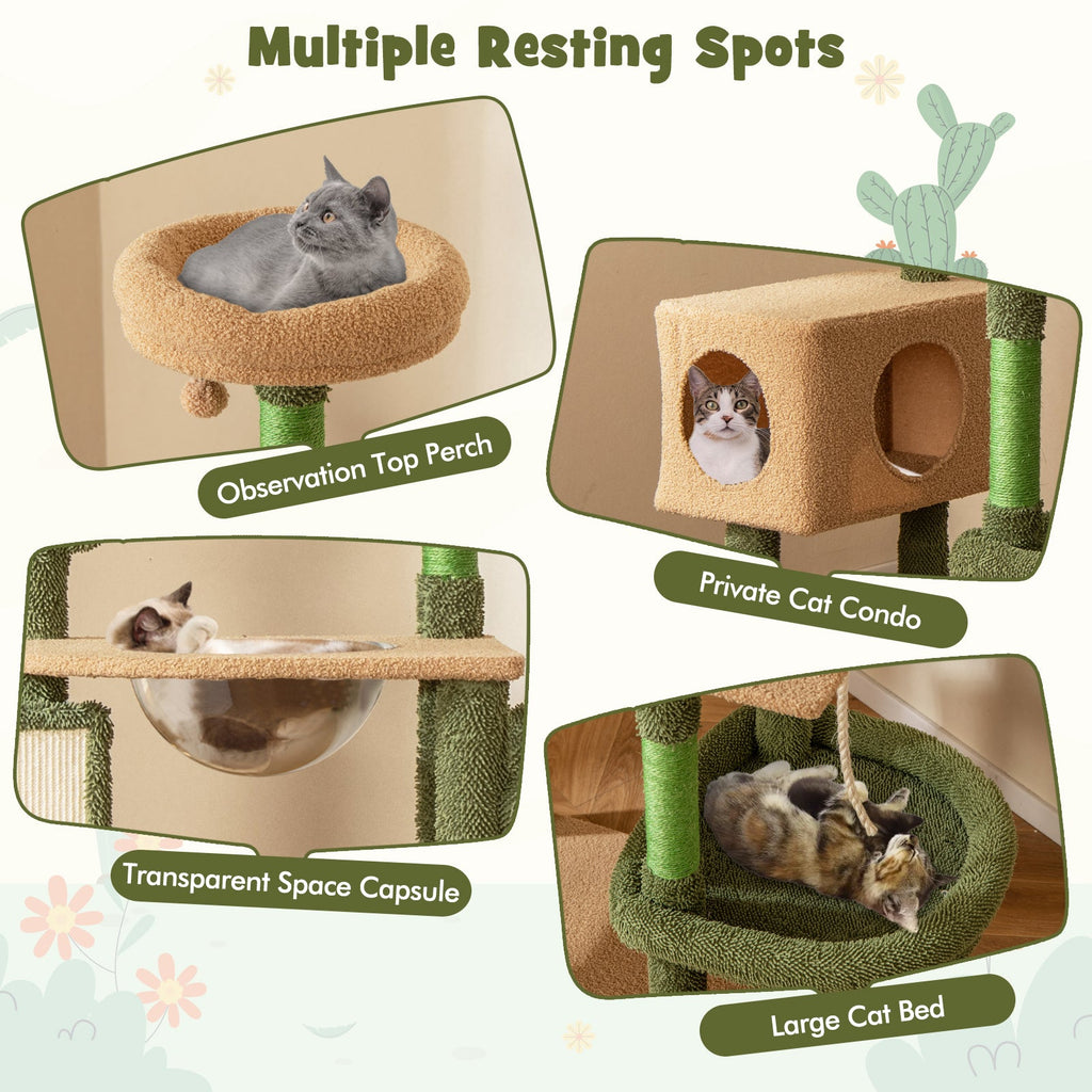 59 Inch Multilevel Cactus Cat Tree with Scratching Posts Cando Toy and Rope-Green - Majestic Pet Kingdom