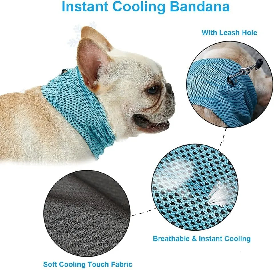 Dog Cooling Bandana: Ice Pet Collar for Hiking & Travel