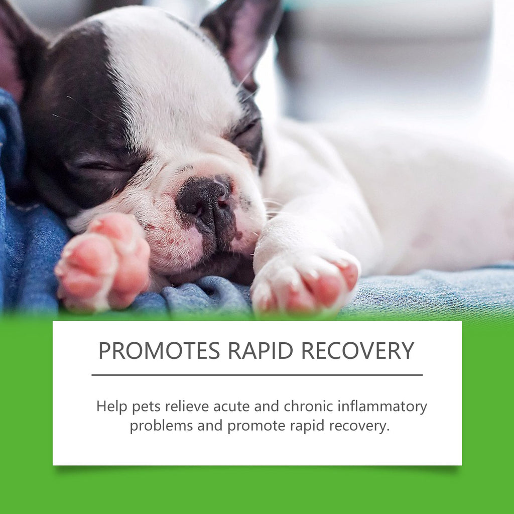 Dog Dietary Supplement: Daily Pet Health Support Formula
