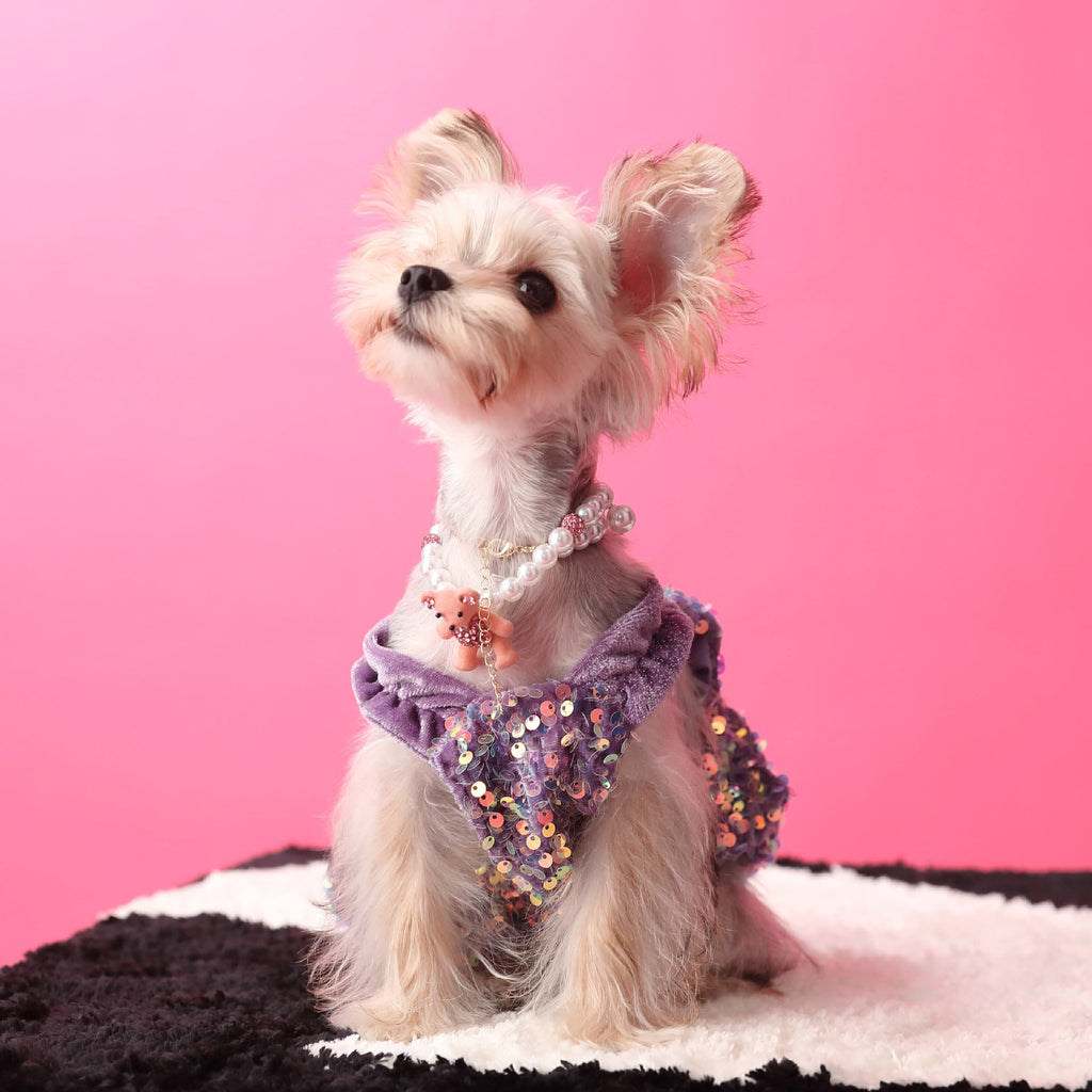 Female Dog Clothes Autumn Dress Velvet Sequins - Majestic Pet Kingdom