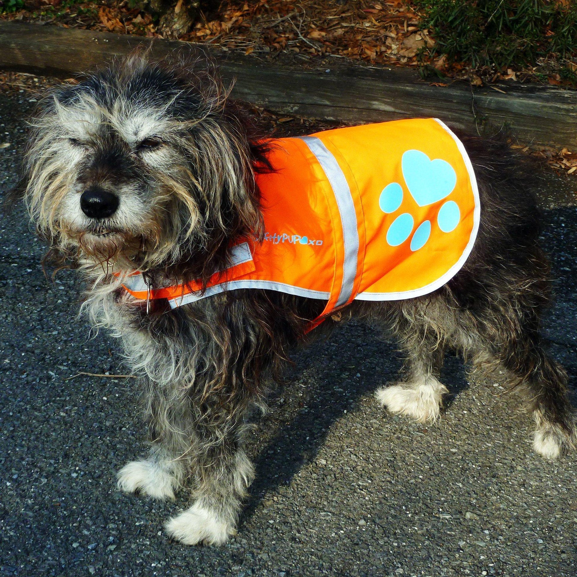 Dog Safety Vest Reflective Hi-Vis Orange Small 27.5in Chest - Detail Angle 2 | Majestic Pet Kingdom