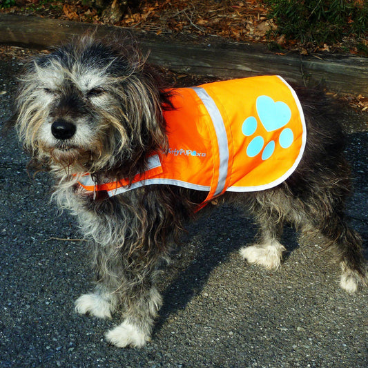 Dog Safety Vest Reflective Hi-Vis Orange Small 27.5in Chest
