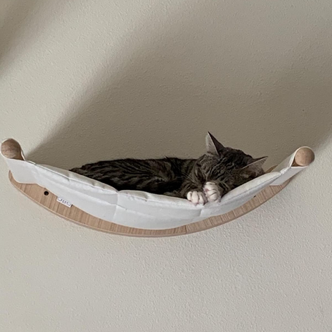 Cat Wall Shelves Solid Wood Mounted Climbing Frame with Bed - Majestic Pet Kingdom