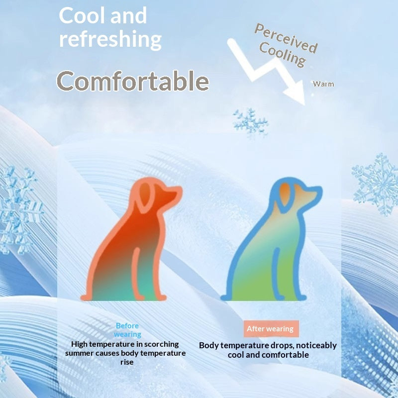 Pet Product - Premium Pet Accessory