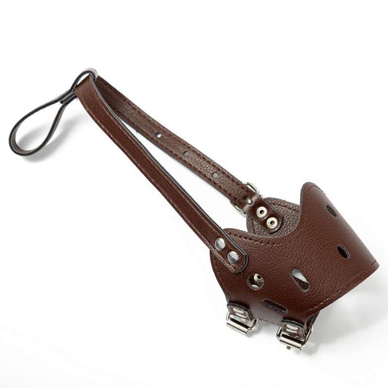 Luxury Pet Essentials - Purrfect Pet Kingdom™