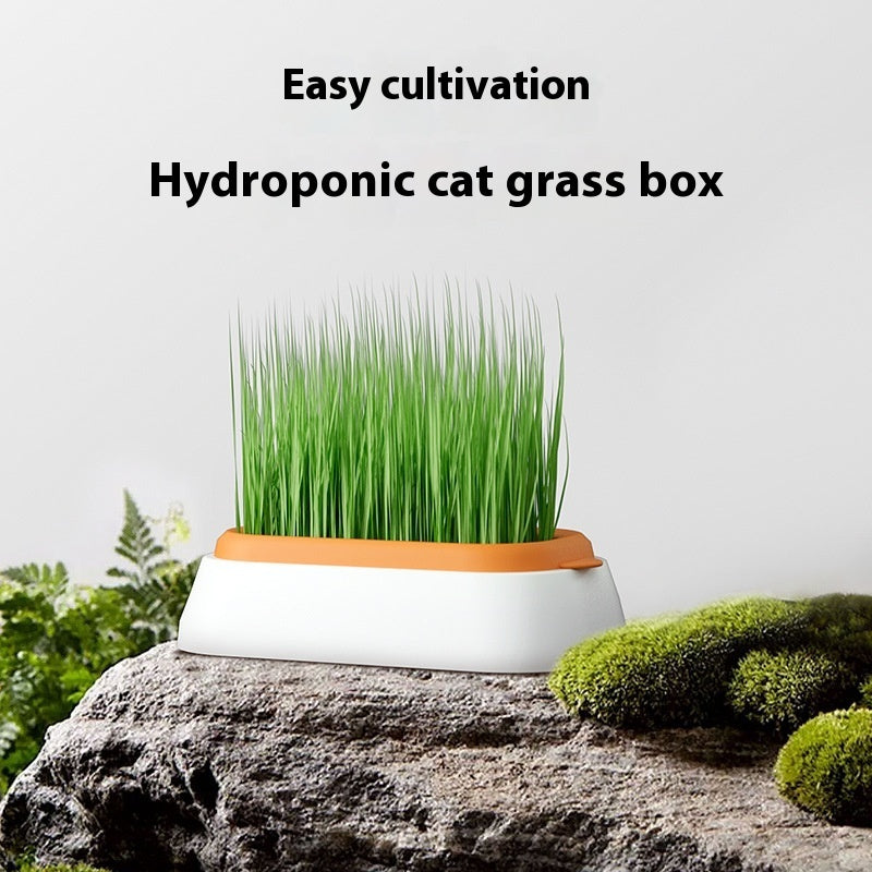 Lazy Soil-free Hydroponic Planting Wheat Seed Cultivation Cat Grass Basin