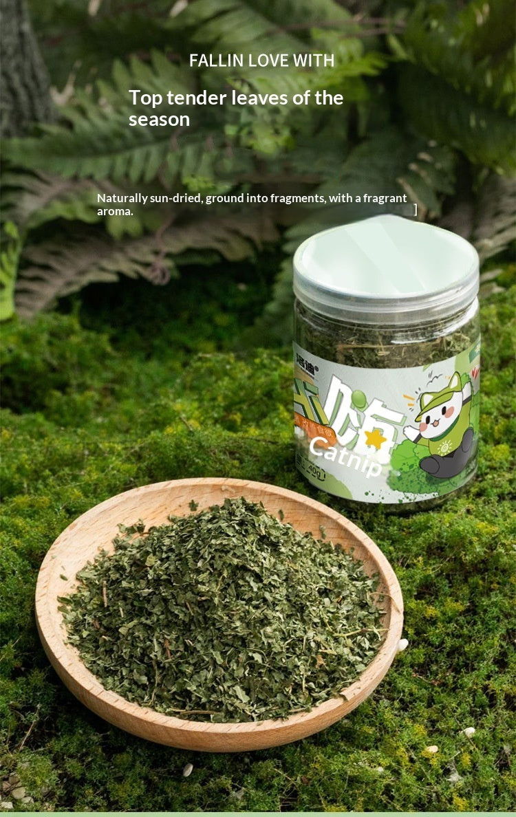 Catnip Cat Grass Leaves Cat Treats Cat Teaser Toy