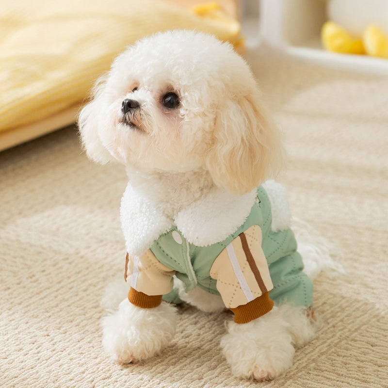Pet Product - Premium Pet Accessory