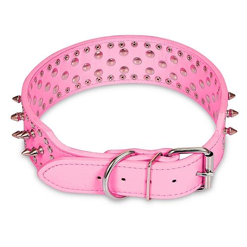GBruno Dog Leather Collar Spiked | Purrfect Pet Kingdom