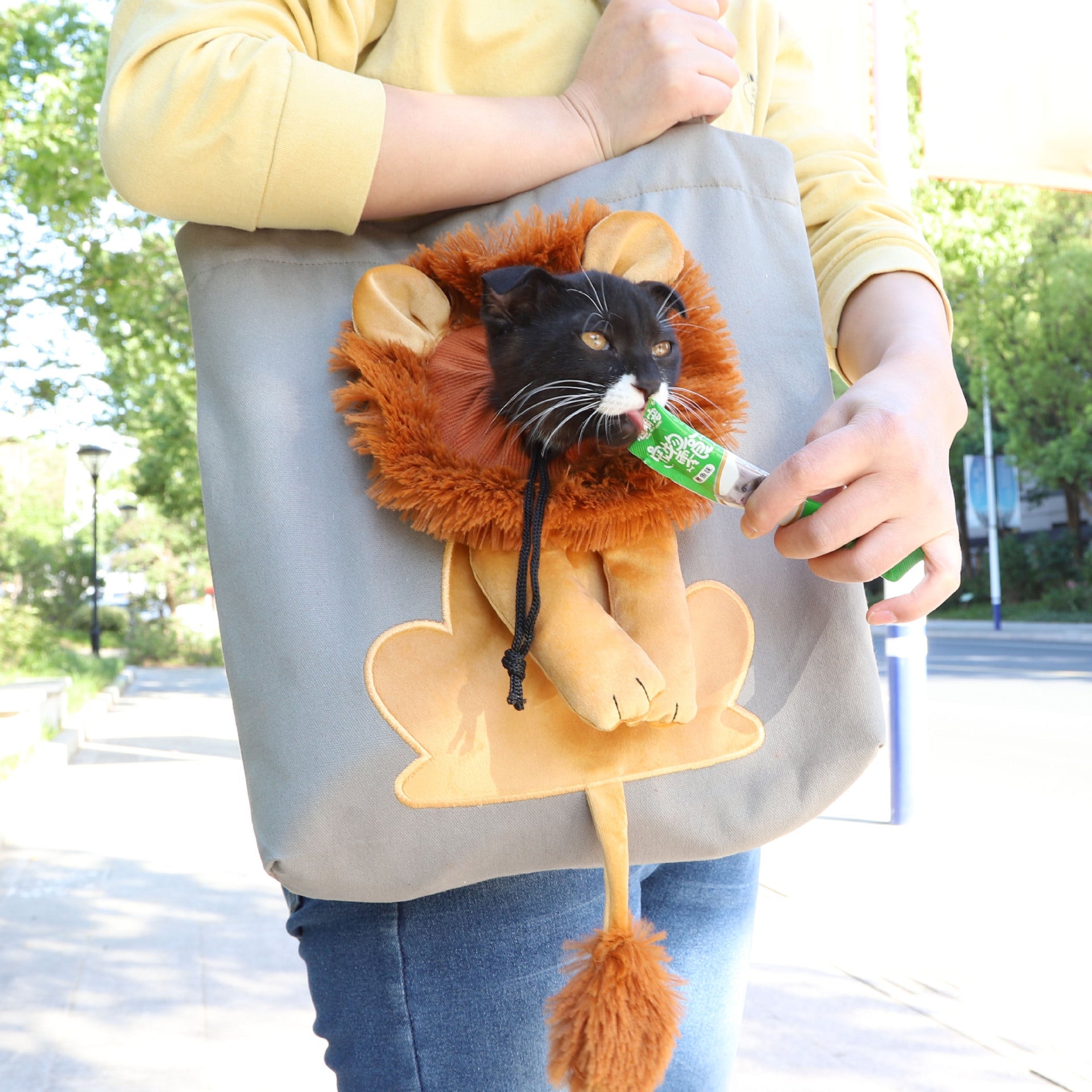 Soft Pet Carriers Lion Design Portable Breathable Bag Cat Dog Carrier Bags Outgoing Travel Pets Handbag With Safety Zippers - Majestic Pet Kingdom