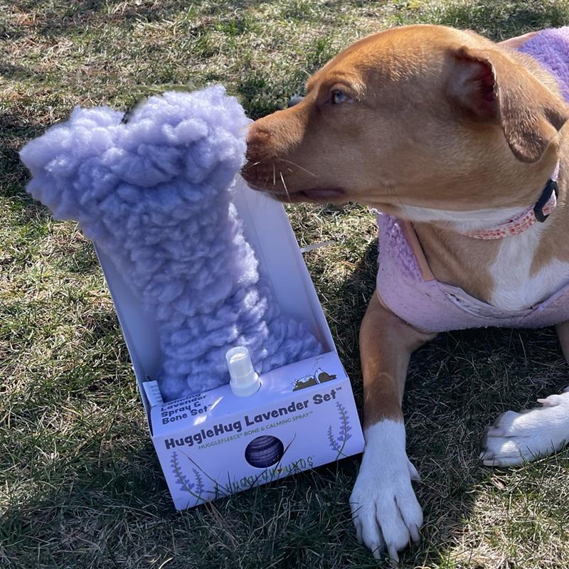 Pet Supply Product | The Finest Market