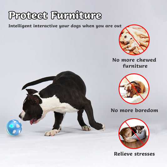 Smart Electric Dog Cat Toy Smart Ball Tease Cat Tease Small Dog | Purrfect Pet Kingdom