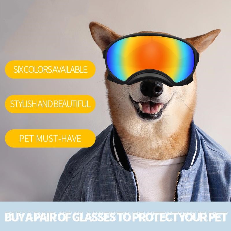 Luxury Pet Essentials - Purrfect Pet Kingdom™