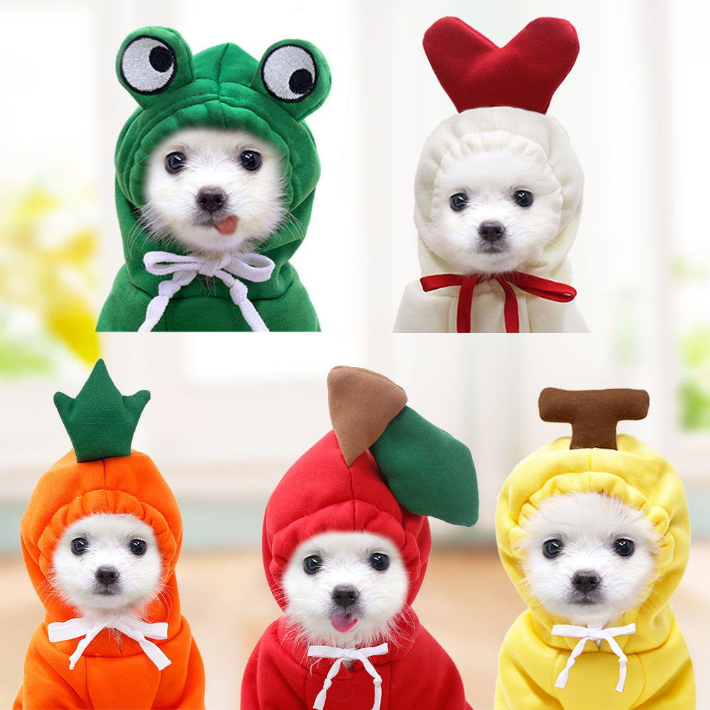 Pet Product - Premium Pet Accessory