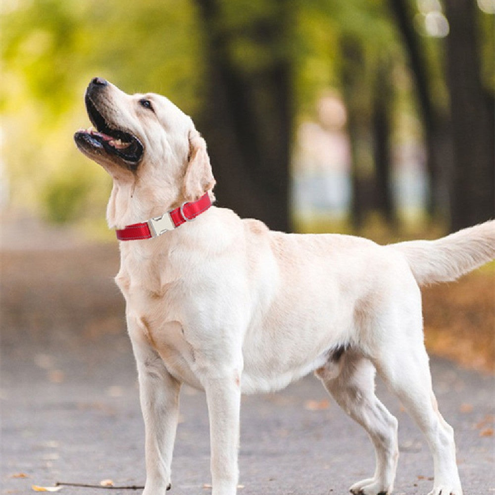 Nylon Reflective String Dog Collar - Majestic Pet Kingdom