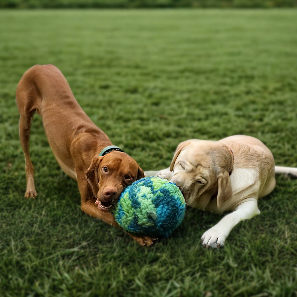 Pet Supply Product | The Finest Market