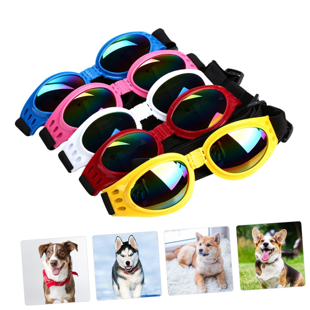 Luxury Pet Essentials - Purrfect Pet Kingdom™