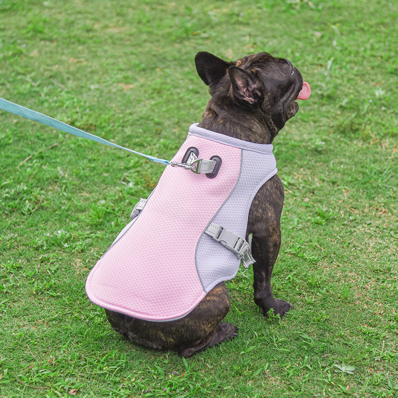 Summer Pet Outdoor Breathable Cooling Vest - Majestic Pet Kingdom