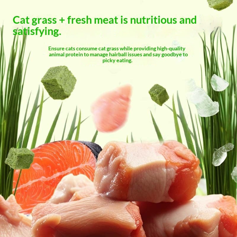 Cat Food Snacks Daily Freeze-Dried Hairball Remedy