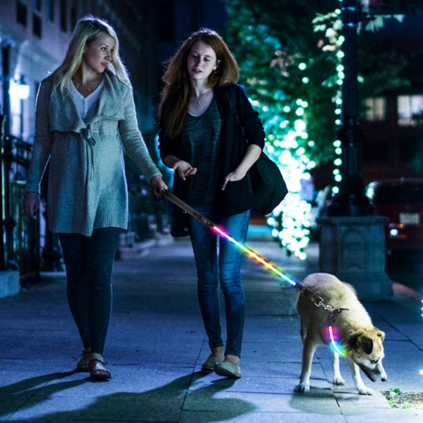 GBruno Light Up Dog Collar | Purrfect Pet Kingdom