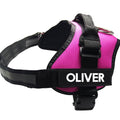 Pet Chest Harness Dog Leash Pet Supplies Ergonomic Walking Harness | Majestic Pet Kingdom™