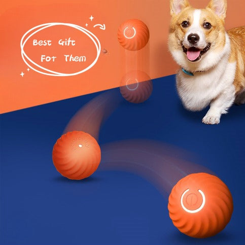 Dog Ball Toy Bite-Resistant Natural Rubber Fetch Chewing Ball - Main Feature View | Majestic Pet Kingdom