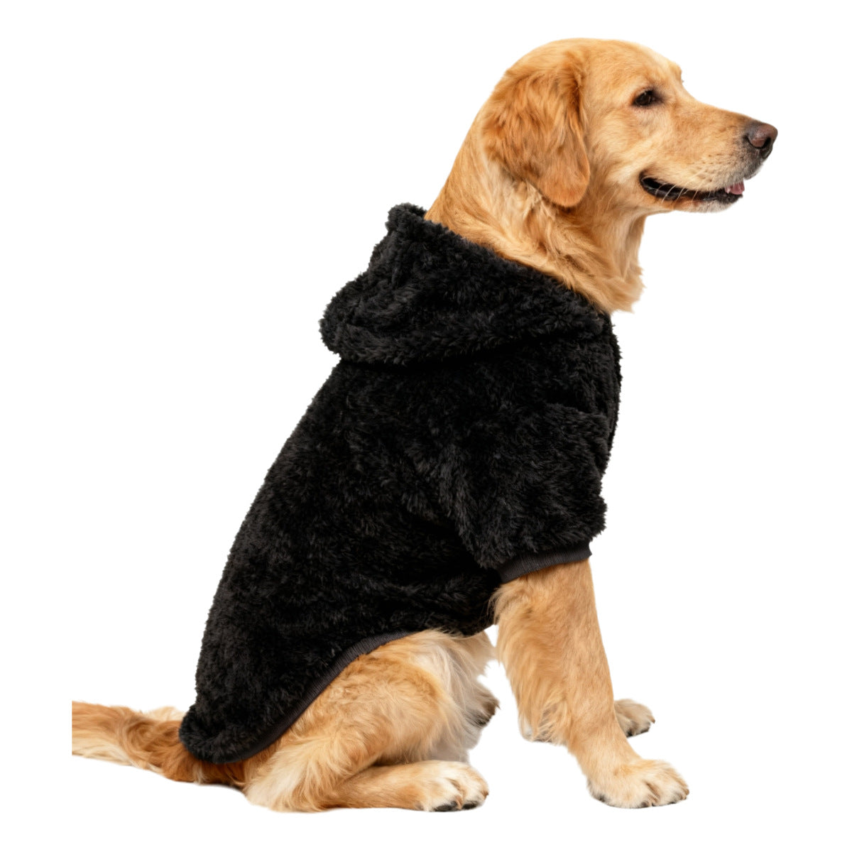 Pet Product - Premium Pet Accessory