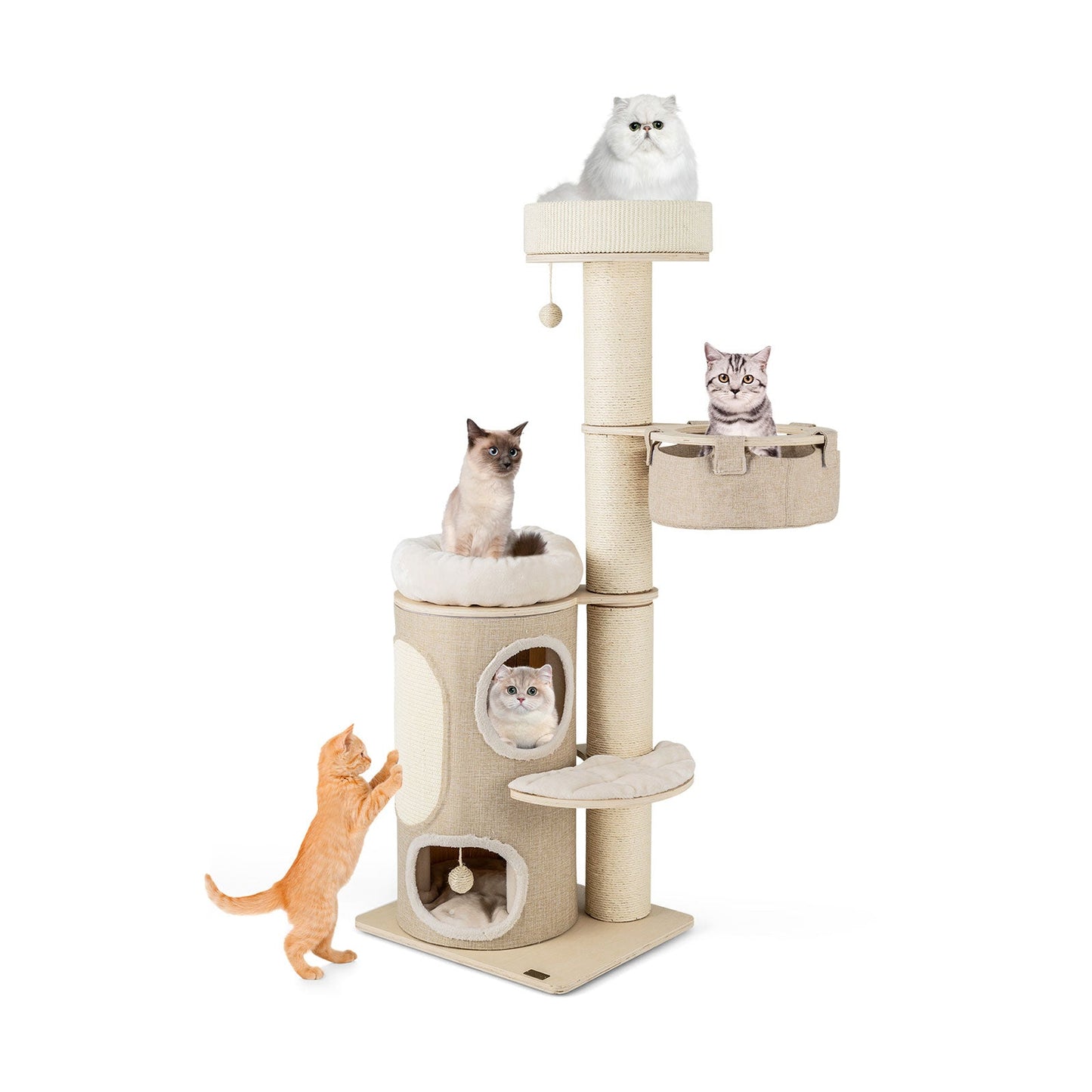 61 Inches Cat Tree for Indoor Cats with 2-stoery Condo and Top Perch-Natural - Majestic Pet Kingdom