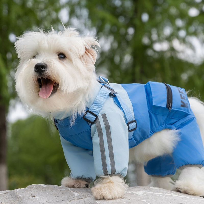 Autumn And Winter Dog, Small And Medium-sized Dog Teddy Outdoor Windproof, Waterproof, Three-proof Raincoat, Four-legged Cotton Coat, Pet Clothing | Purrfect Pet Kingdom
