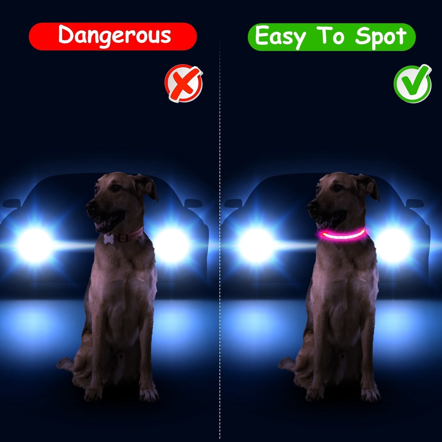 Dog Collar LED Glowing Light-Up 9-Color IPX7 Waterproof Strap - Detail Angle 7 | Majestic Pet Kingdom