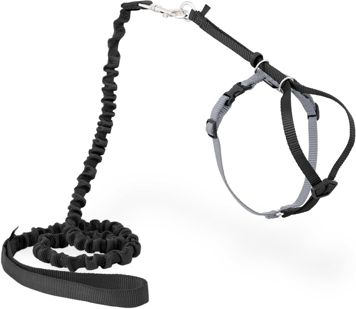 Cat Harness and Leash Set Come With Me Kitty Bungee Black Lg