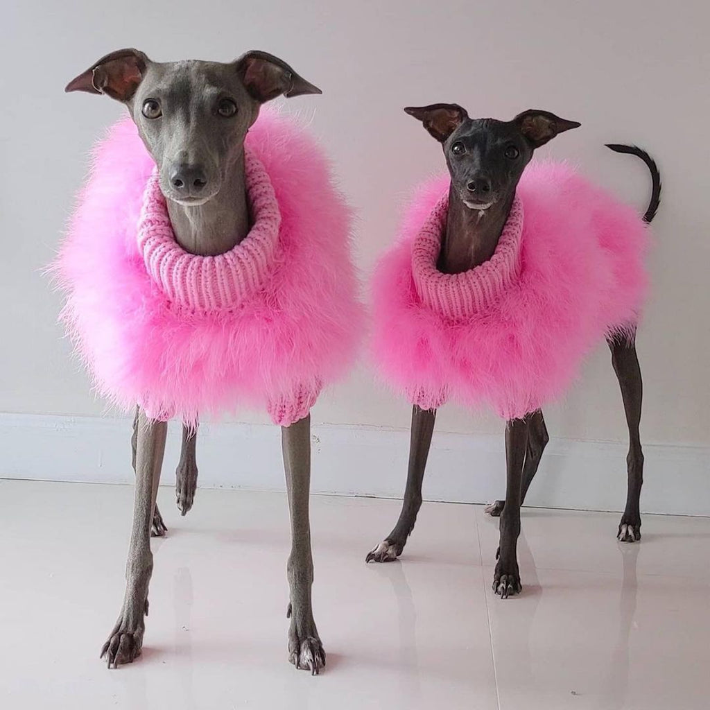 Haute Couture Feathered Luxury Pet Sweater - Majestic Pet Kingdom
