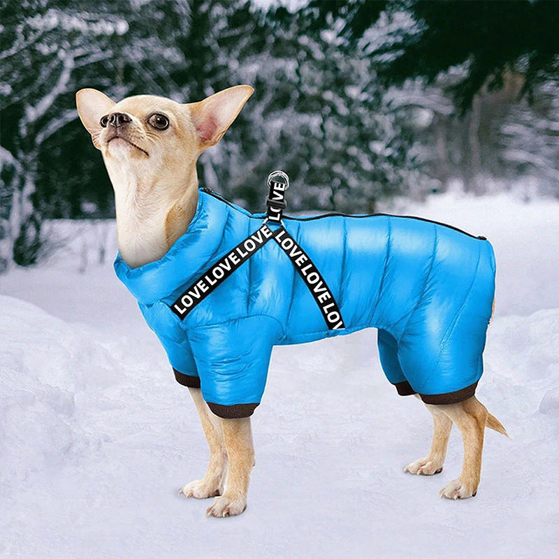 Pet Product - Premium Pet Accessory