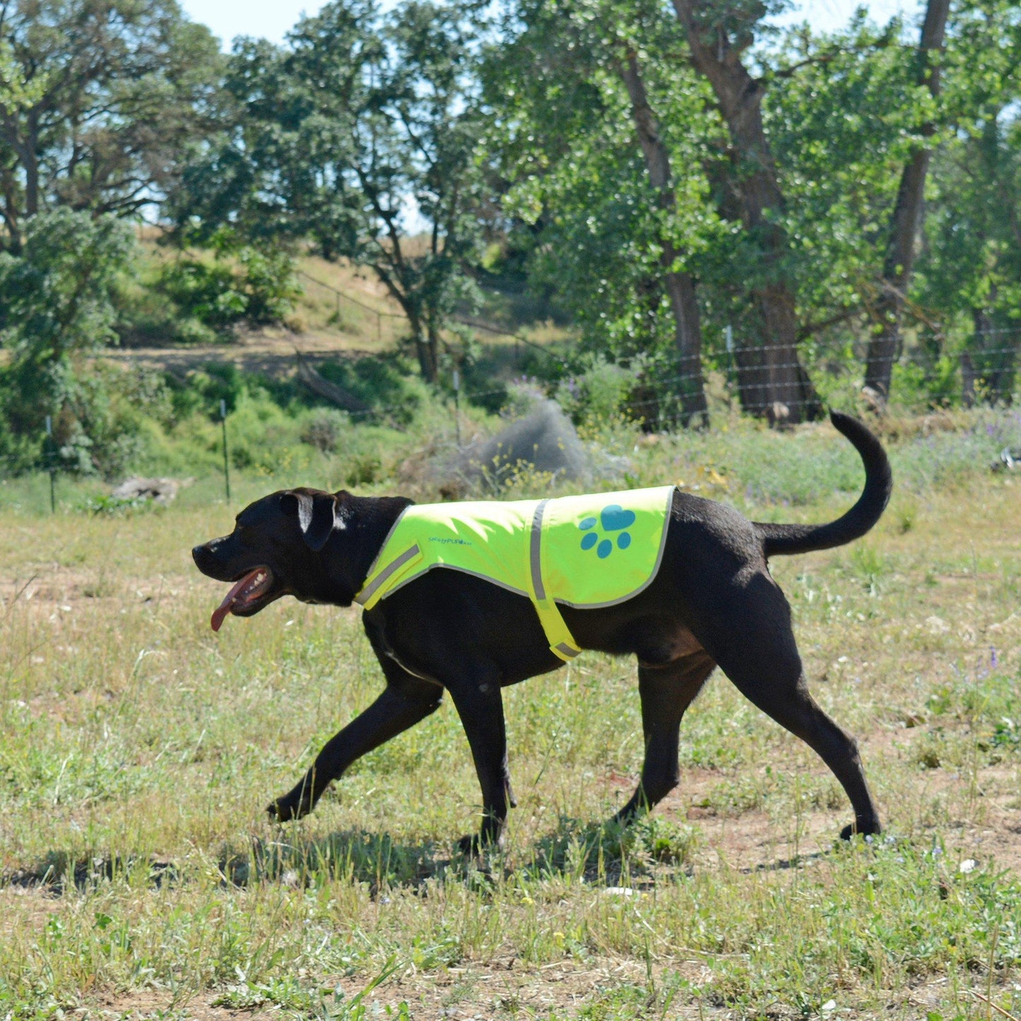Reflective Dog Safety Vest Hi-Vis XL Size Neon Yellow - Majestic Pet Kingdom
