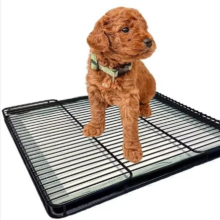 Dog Potty Tray Mesh Training Toilet Pad Holder for Small Dogs - Main Feature View | Majestic Pet Kingdom