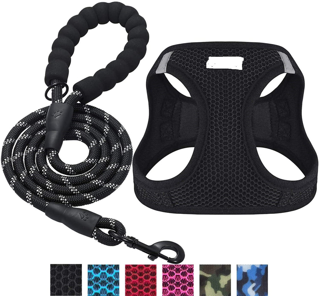 Reflective Harness & Matching Dog Leash Set for Dogs